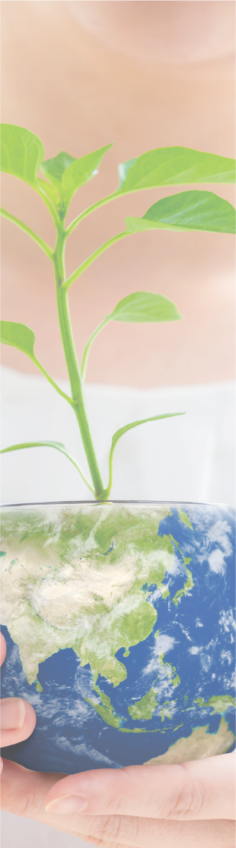 地球と苗木を持つ手のイメージ