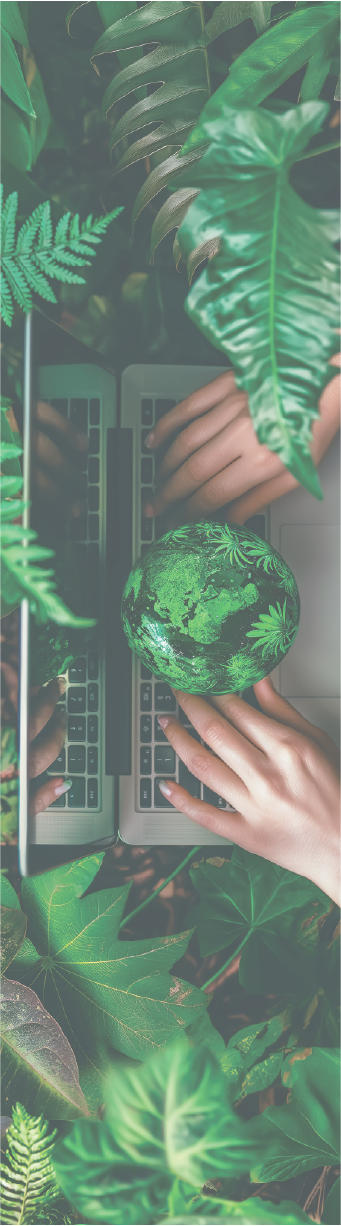 自然とテクノロジーのイメージ